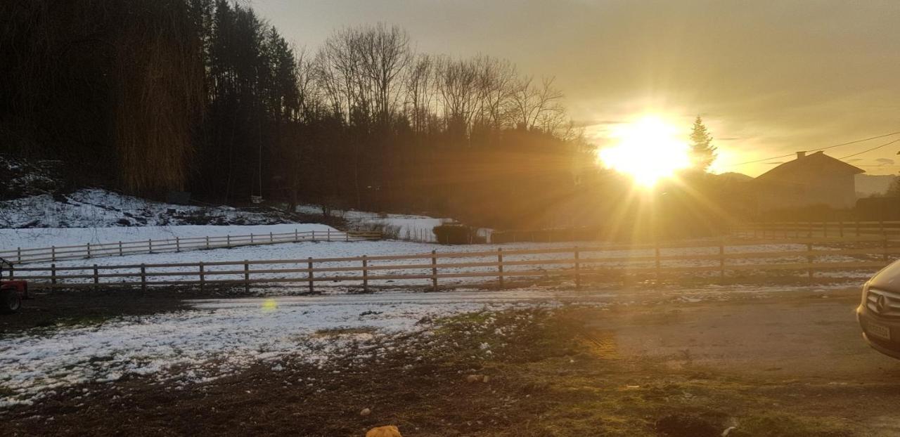 Haus Seidendorf Lägenhet Sankt Kanzian am Klopeiner See Exteriör bild