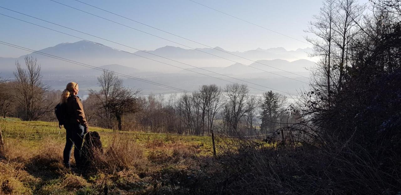 Haus Seidendorf Lägenhet Sankt Kanzian am Klopeiner See Exteriör bild