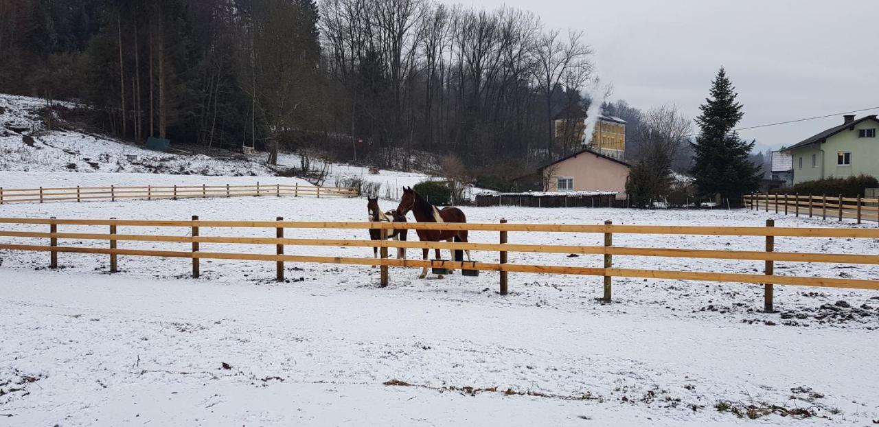 Haus Seidendorf Lägenhet Sankt Kanzian am Klopeiner See Exteriör bild