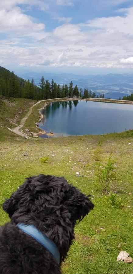 Haus Seidendorf Lägenhet Sankt Kanzian am Klopeiner See Exteriör bild